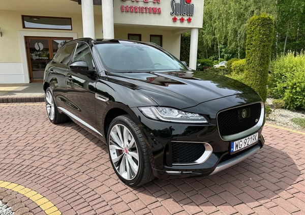 Jaguar F-Pace cena 149900 przebieg: 55000, rok produkcji 2016 z Górzno małe 781